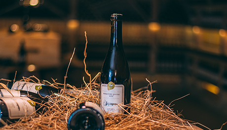 Terjola Wineshop